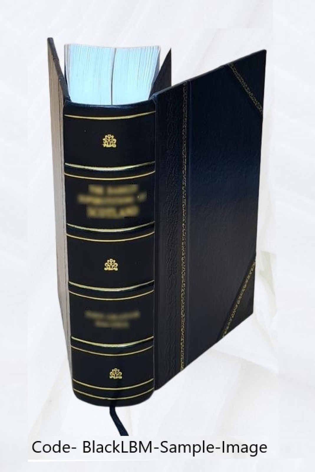 Pomeroy’s equity jurisprudence and equitable remedies Volume 1 1 [Leather Bound]