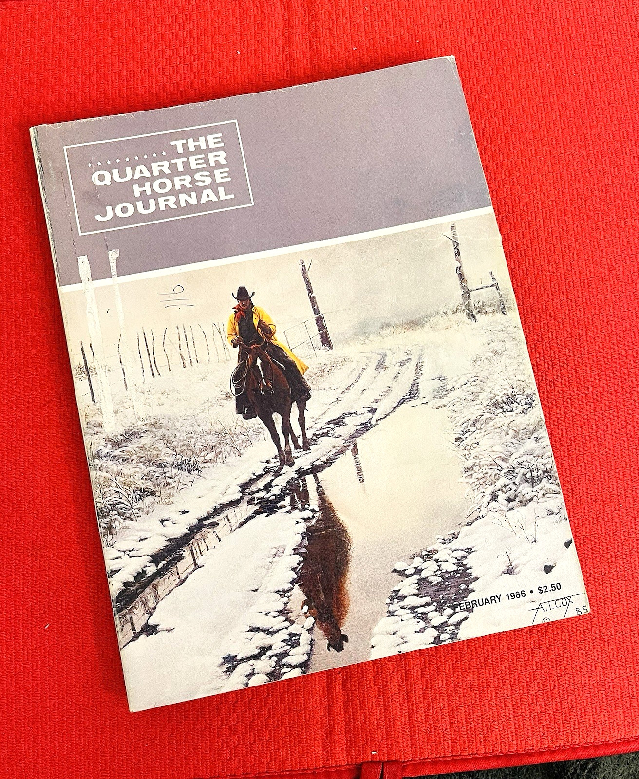 SALE ENDS 6/15! 1986 QUARTER HORSE JOURNAL Book – DYNAMIC DELUXE, ZAN PARR BAR