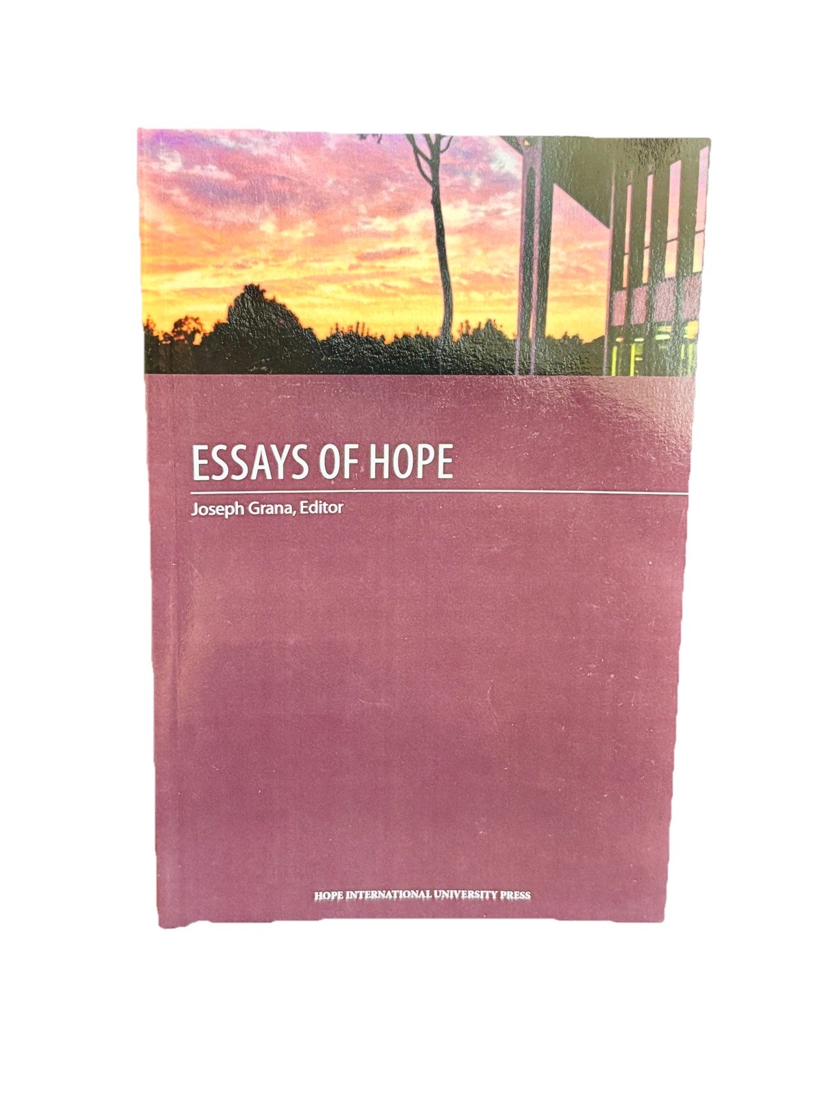 Essays of Hope Christian Theology Paperback Book Religious Joseph Grana Editor