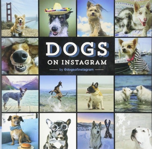 Dogs on Instagram, @dogsofinstagram, Very Good Book