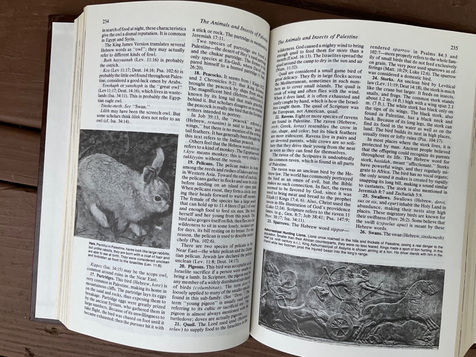 The Bible Almanac : A Comprehensive Handbook 1980 Hardcover
