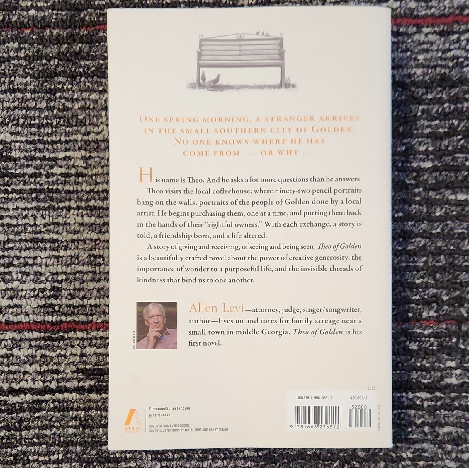 Allen Levi Theo of Golden: A Novel Paperback