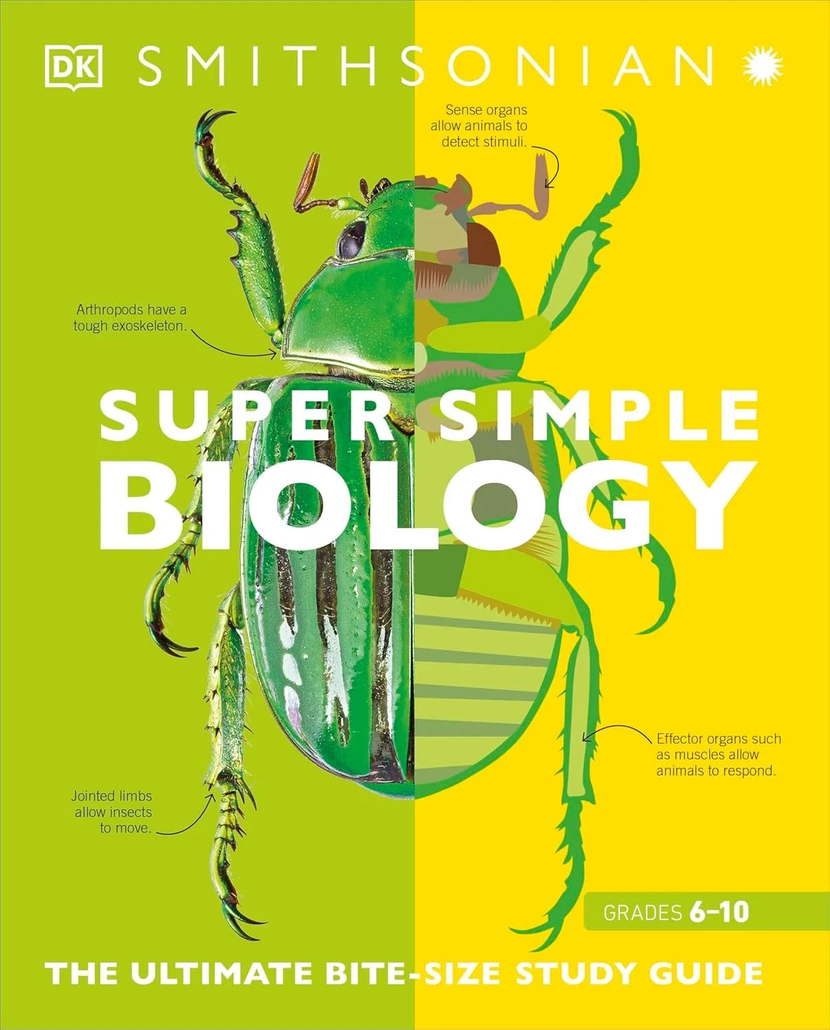 Super Simple Biology: The Ultimate Bitesize Study Guide, New