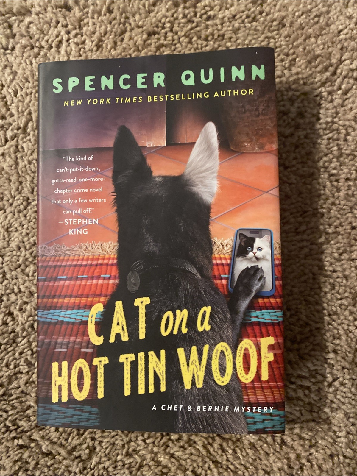 Cat On A Hot Tin Roof Hardcover By Quinn, Spencer-EUC