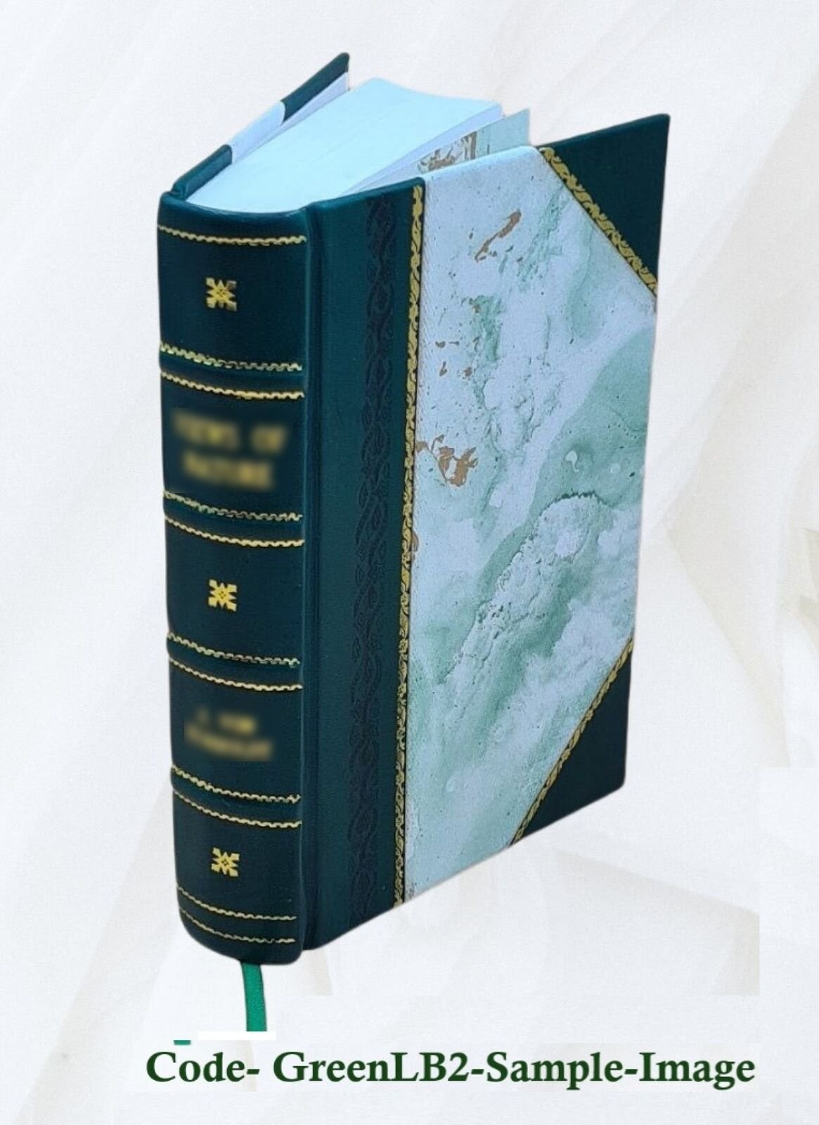 Personal narrative of a year’s journey through central and 1883 [Leather Bound]