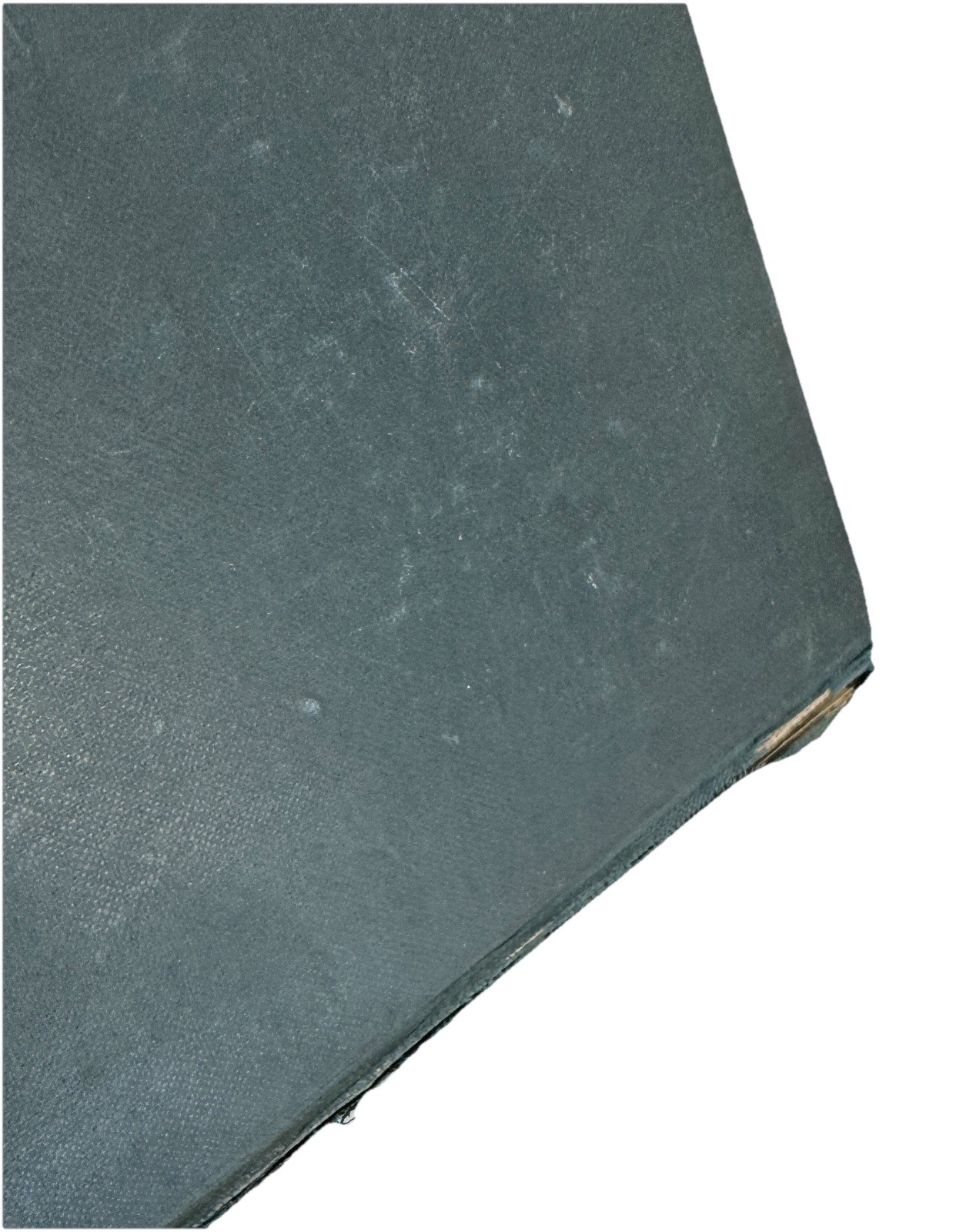 Tales of the Punjab Told by the People – Flora Annie Steel (1894)