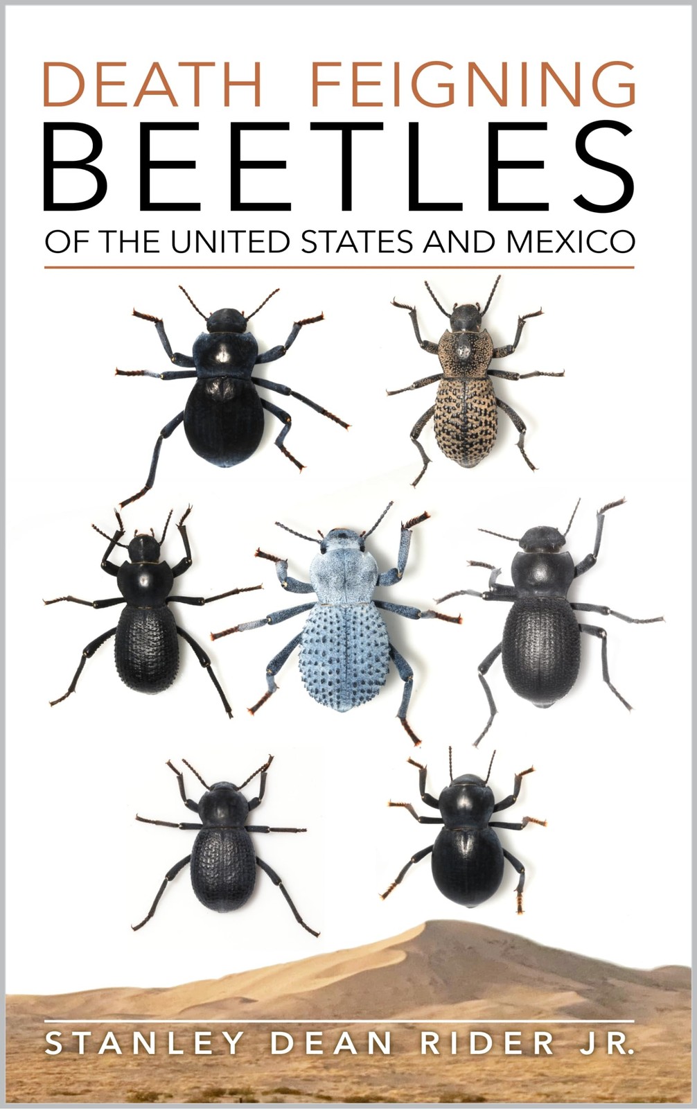 Stanley D Rider Death Feigning Beetles of the United States and Mexi (Paperback)