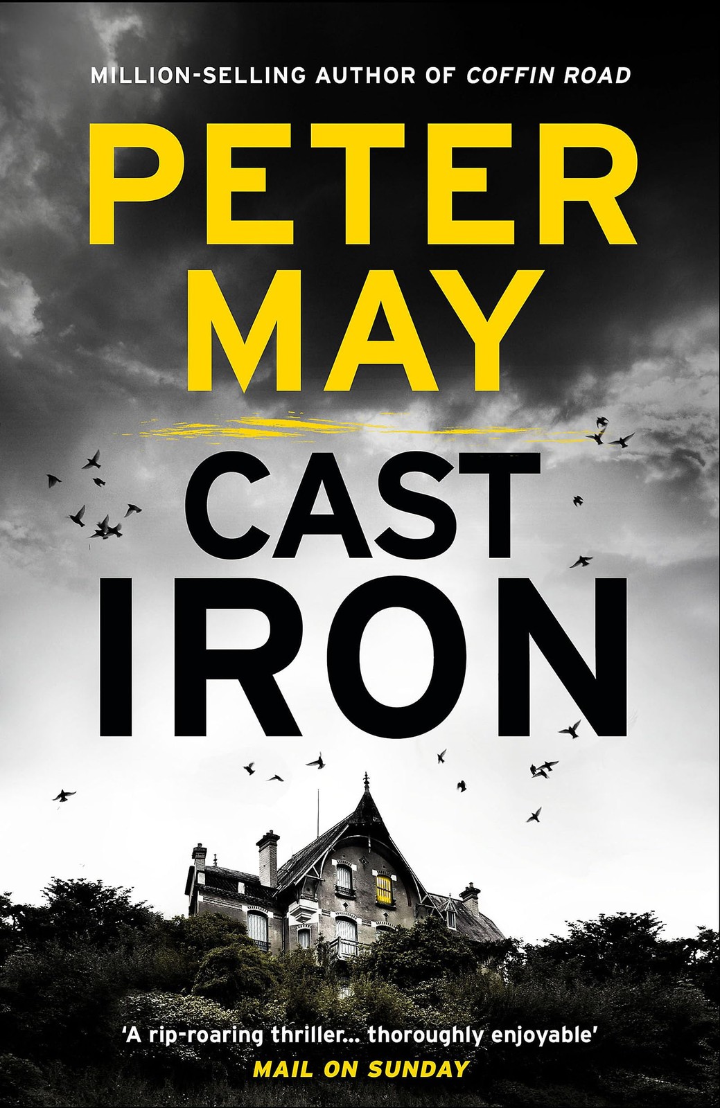 Cast Iron (The Enzo Files) – paperback May, Peter