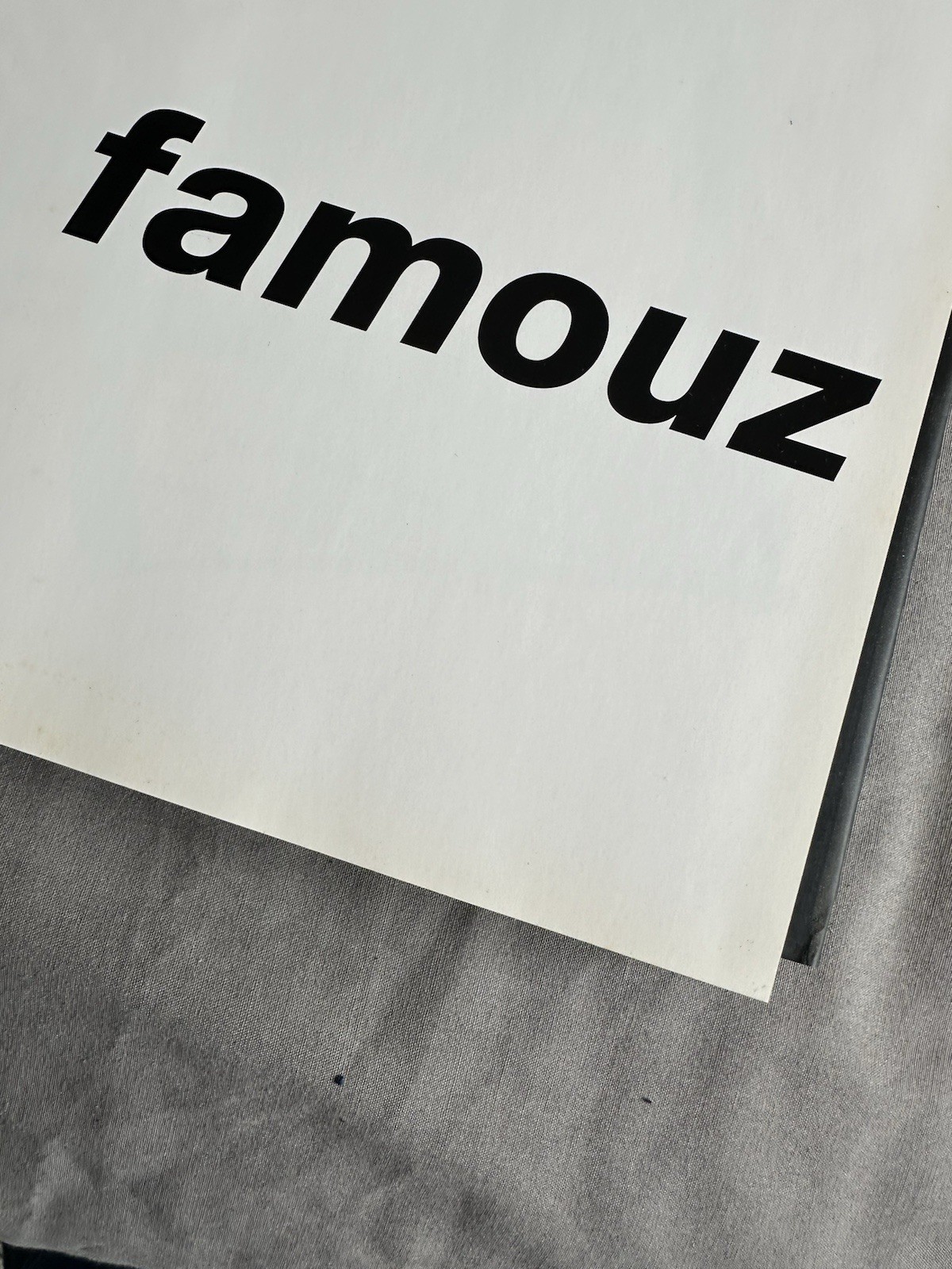 Anton Corbijn Famouz : Photographs, 1976-88 (1997, Hardcover) Book
