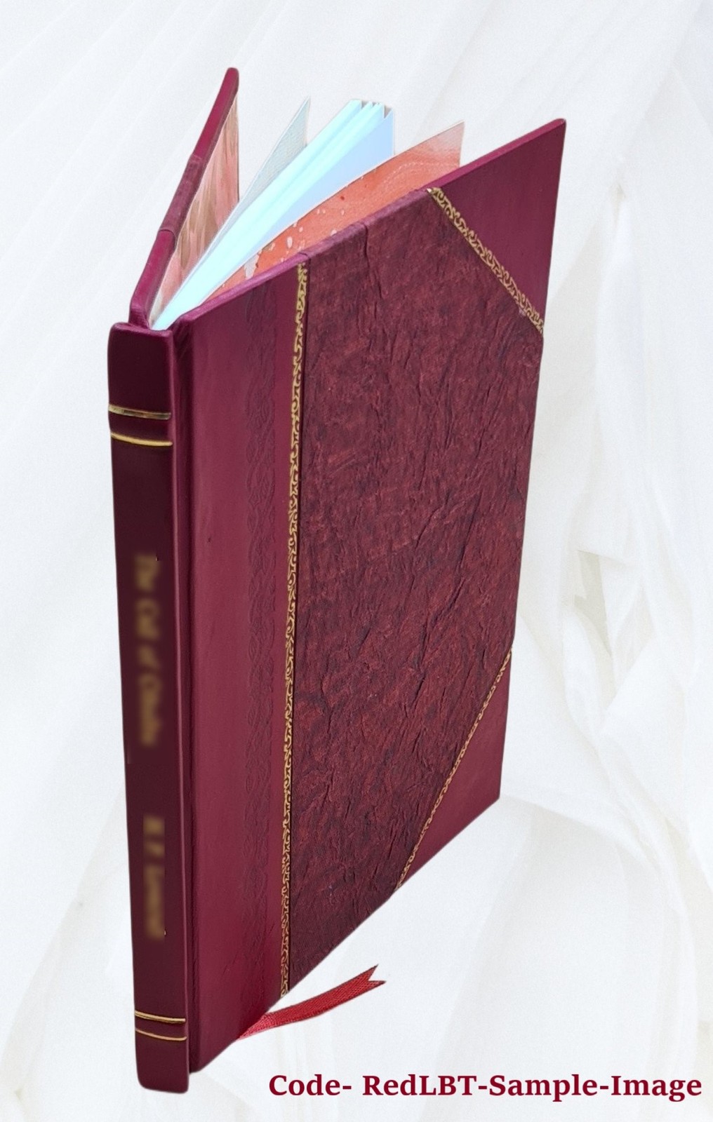 Facts About Armenia 1895 [Leather Bound]