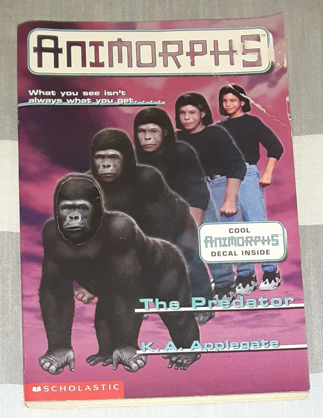 Animorphs Book Lot of 21 (K.A. Applegate, Paperback)