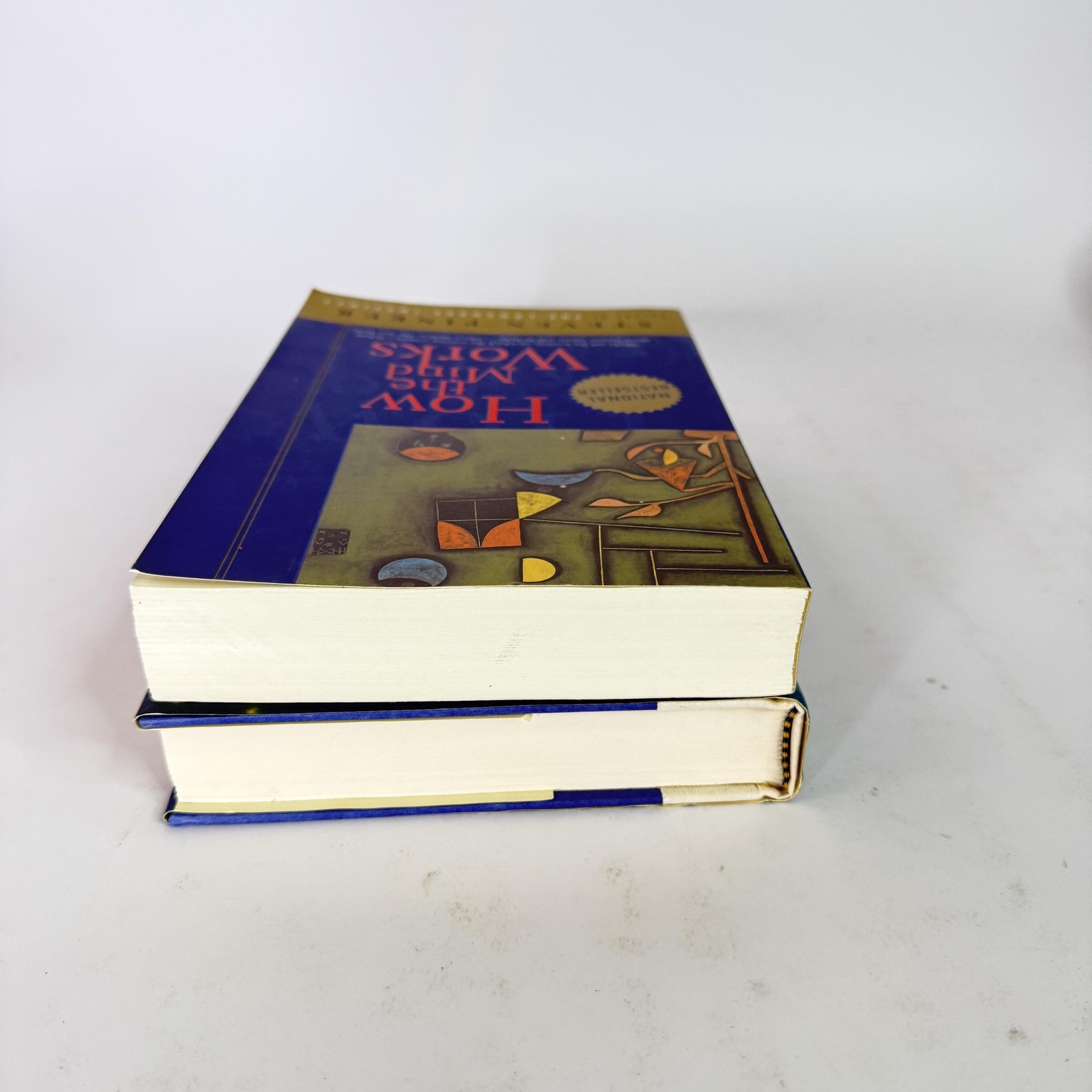 Lot 2 Cognitive Science Books Steven Pinker How The Mind Works Casti HC PB