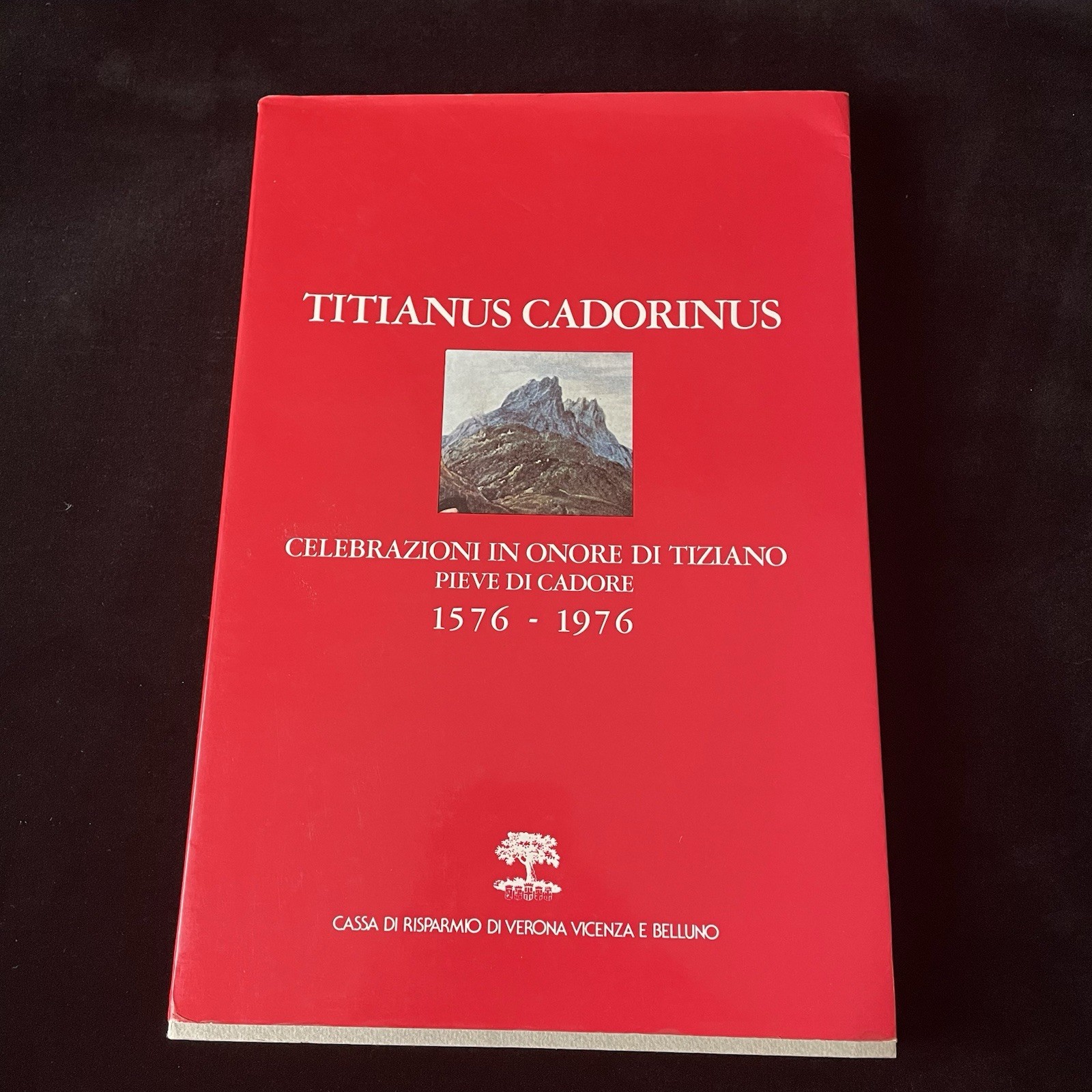 Titianus Cadorinus Celebrazioni in Onore di Tiziano 1576 1976 Muraro Art History