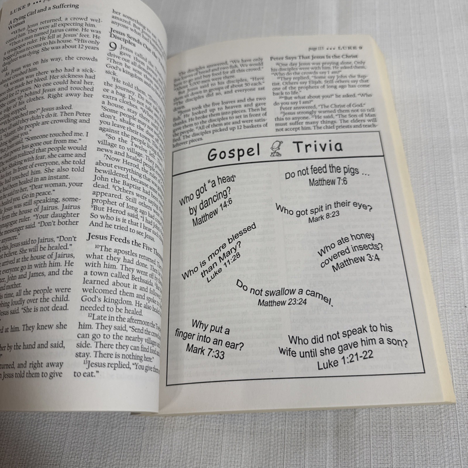 The Illustrated Bible – New Testament – Paperback By NIrV The Salvation Army
