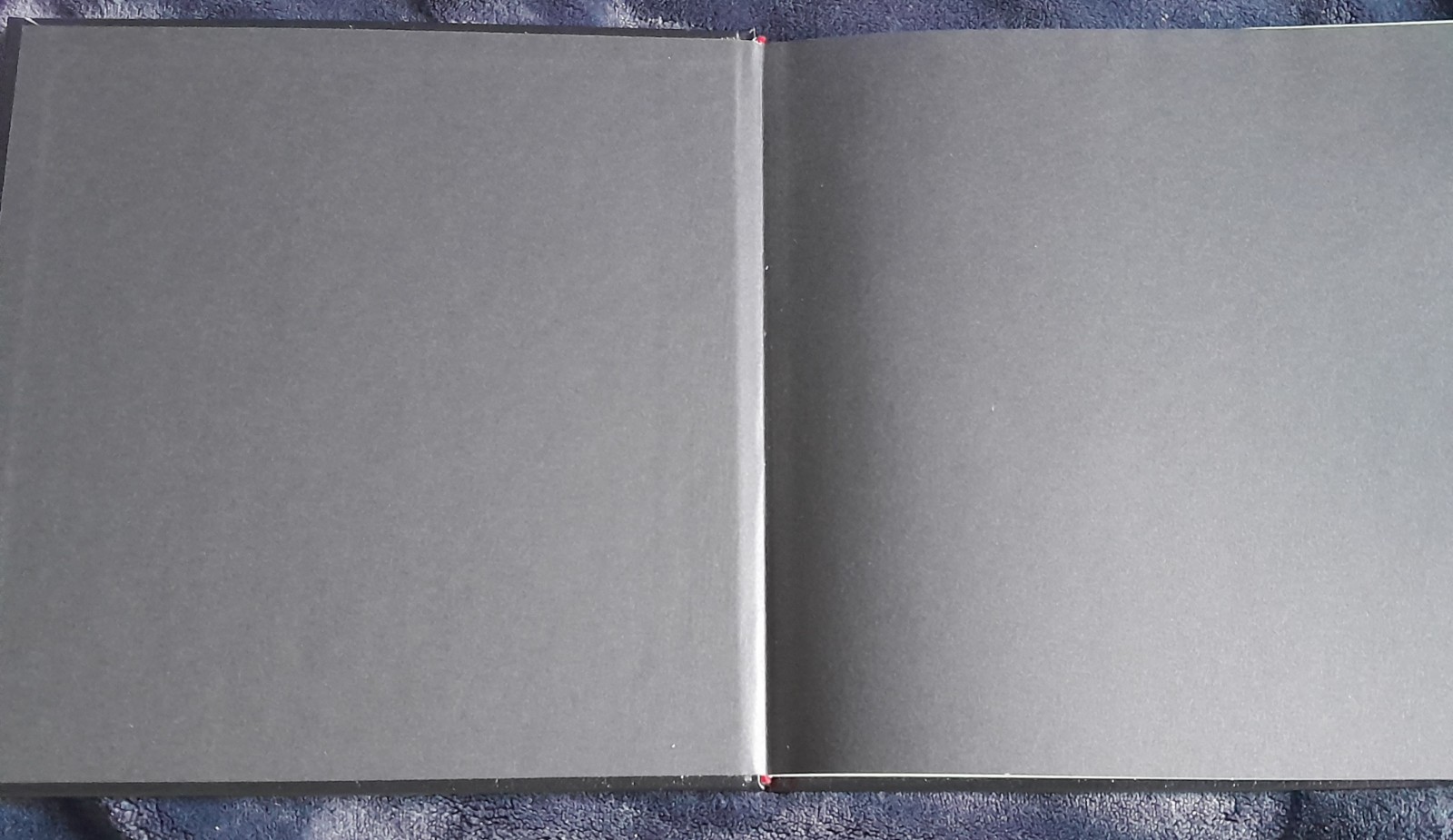 WILLIAM EGGLESTON’s GUIDE 2ND EDITION MOMA 2002