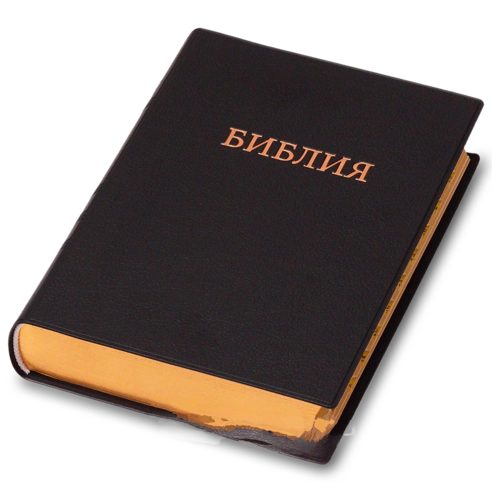 Bible in Russian Библия синодальный перевод 13.5х18.5 см
