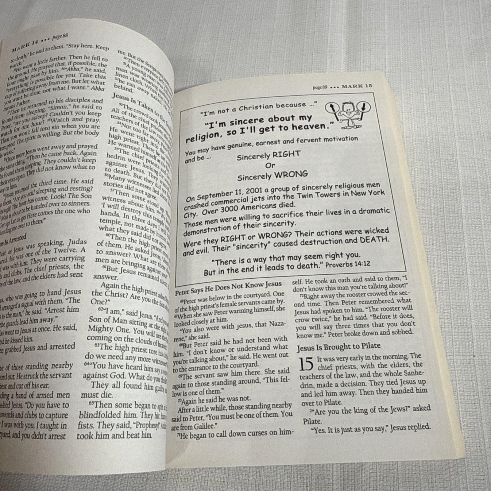 The Illustrated Bible – New Testament – Paperback By NIrV The Salvation Army