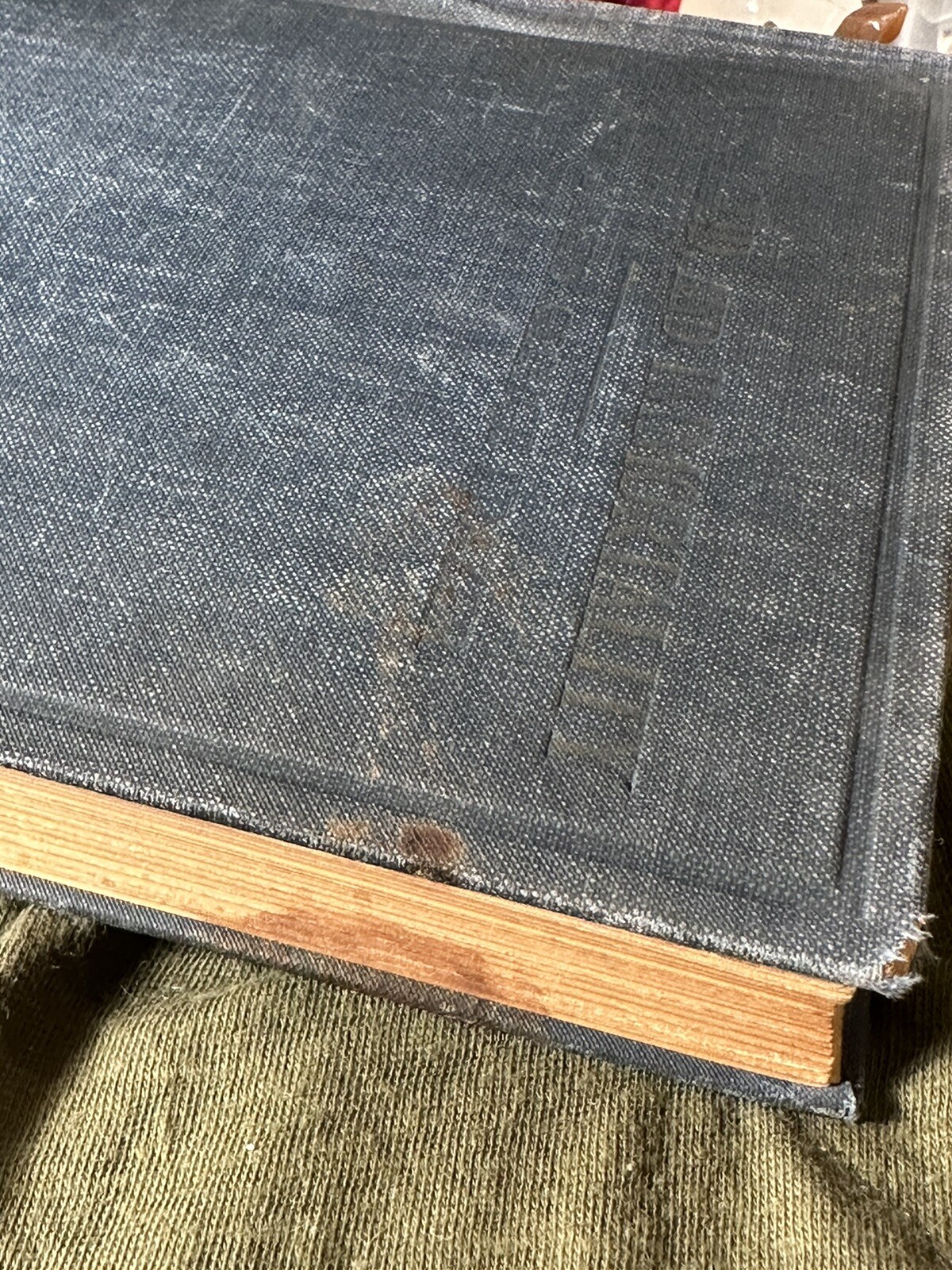 Man, God And Immortality: Thoughts On Human Progress. Macmillan Company (1927).