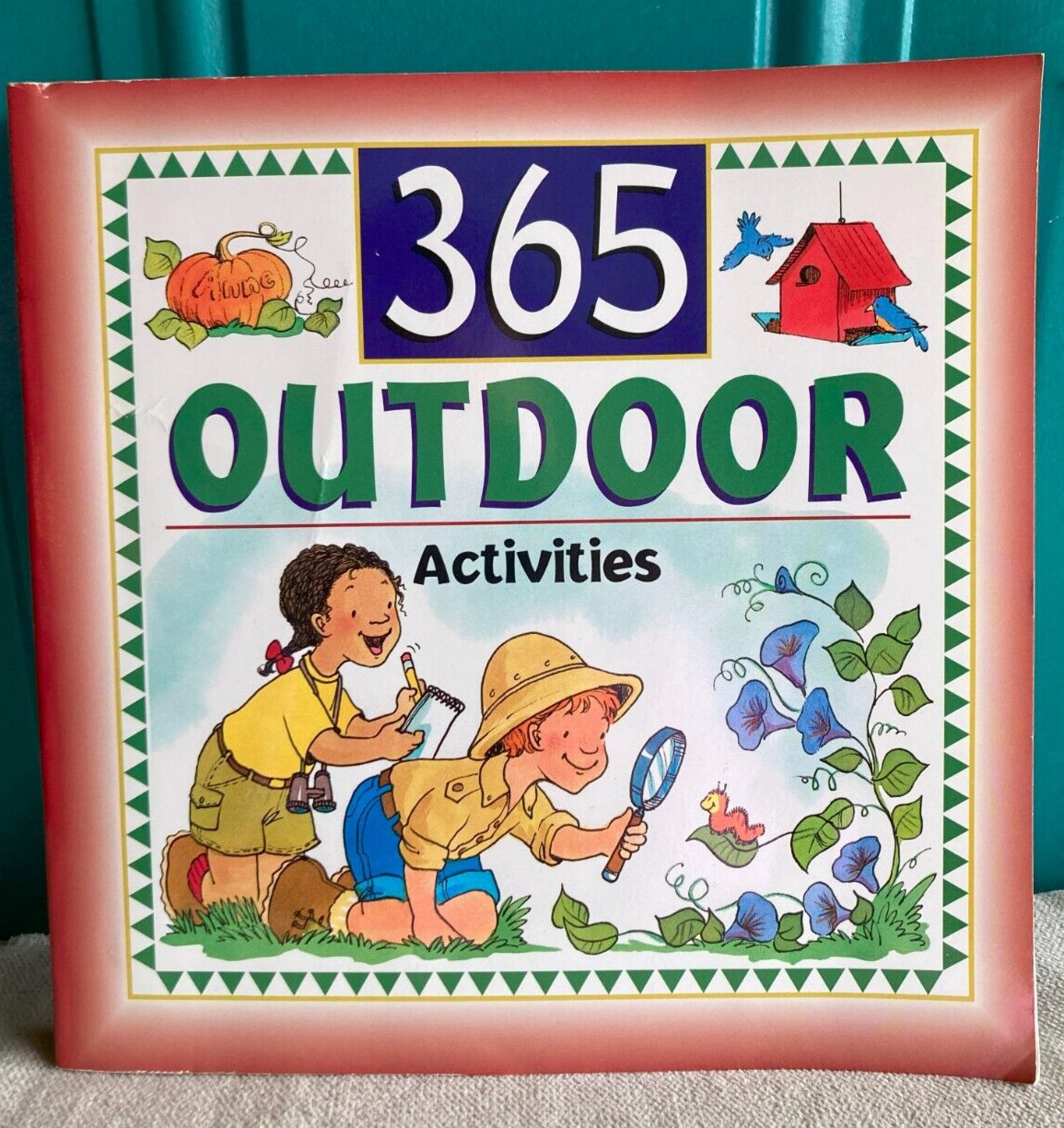 365 Outdoor Activities by Maria Birmingham, Karen E. Bledsoe, Kelly Milner Halls
