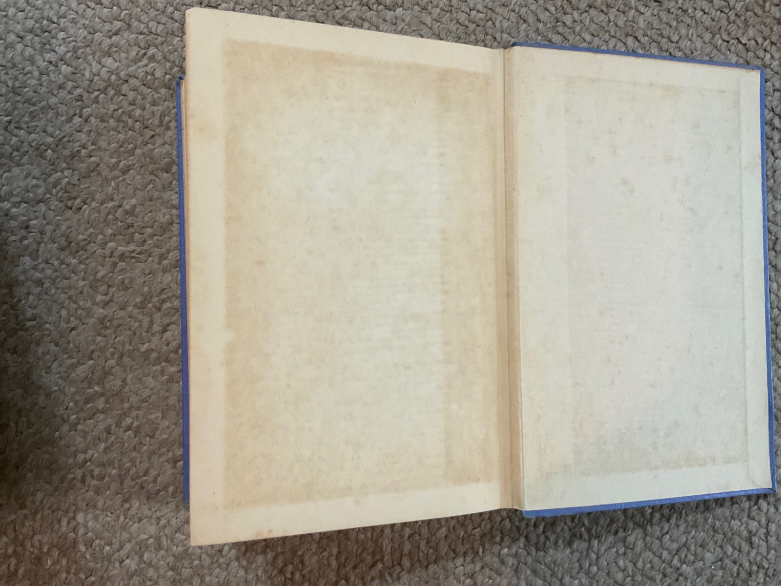 vintage Bishop Hannington book . missionary hero . W G Berry M.A. . 184 pages