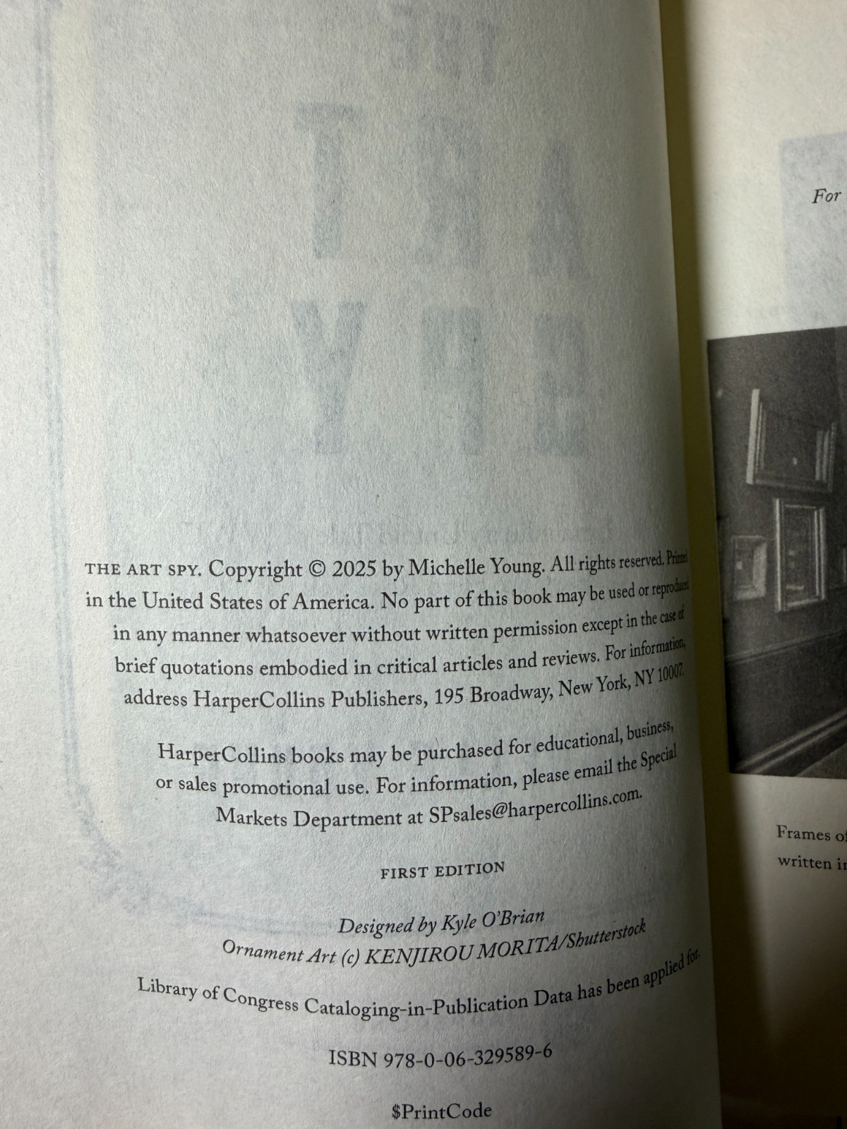 The Art Spy : The Extraordinary… by Michelle Young 2025, ARC Uncorrected Proof