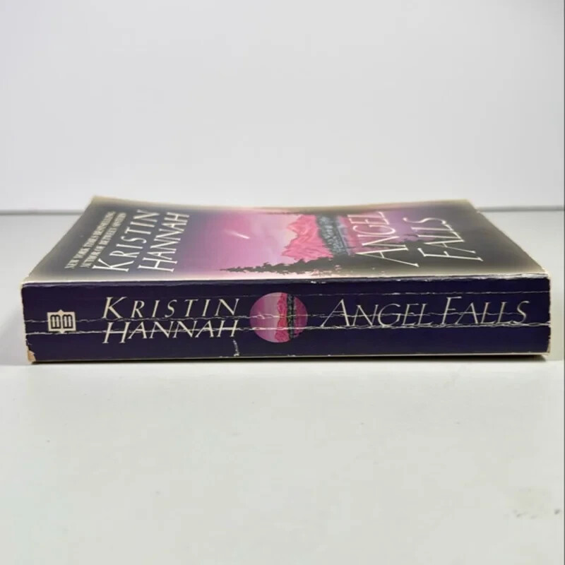 Angel Falls : A Novel by Kristin Hannah (2001, Mass Market)