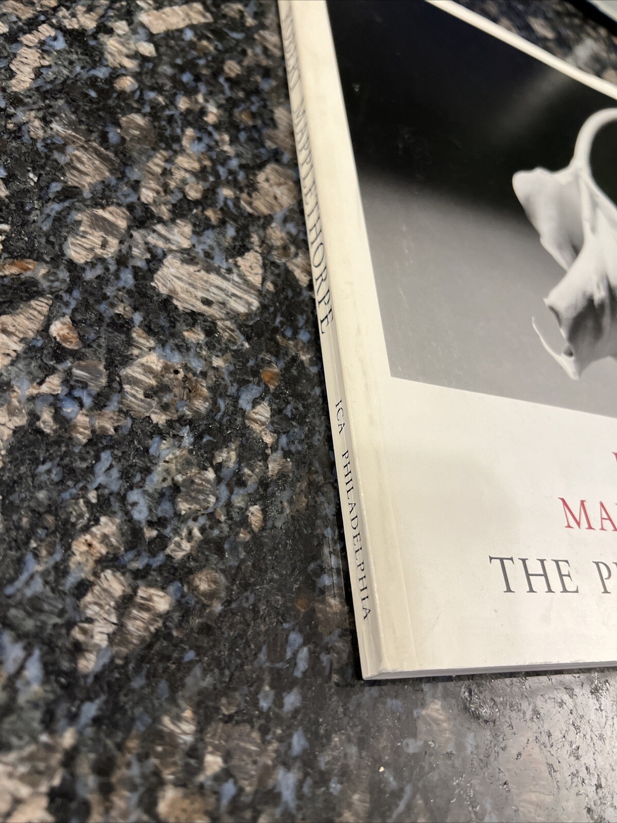 Robert Mapplethorpe: The Perfect Moment 2nd Edition 1989