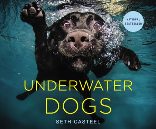 Underwater Dogs – Hardcover By Casteel, Seth – VERY GOOD