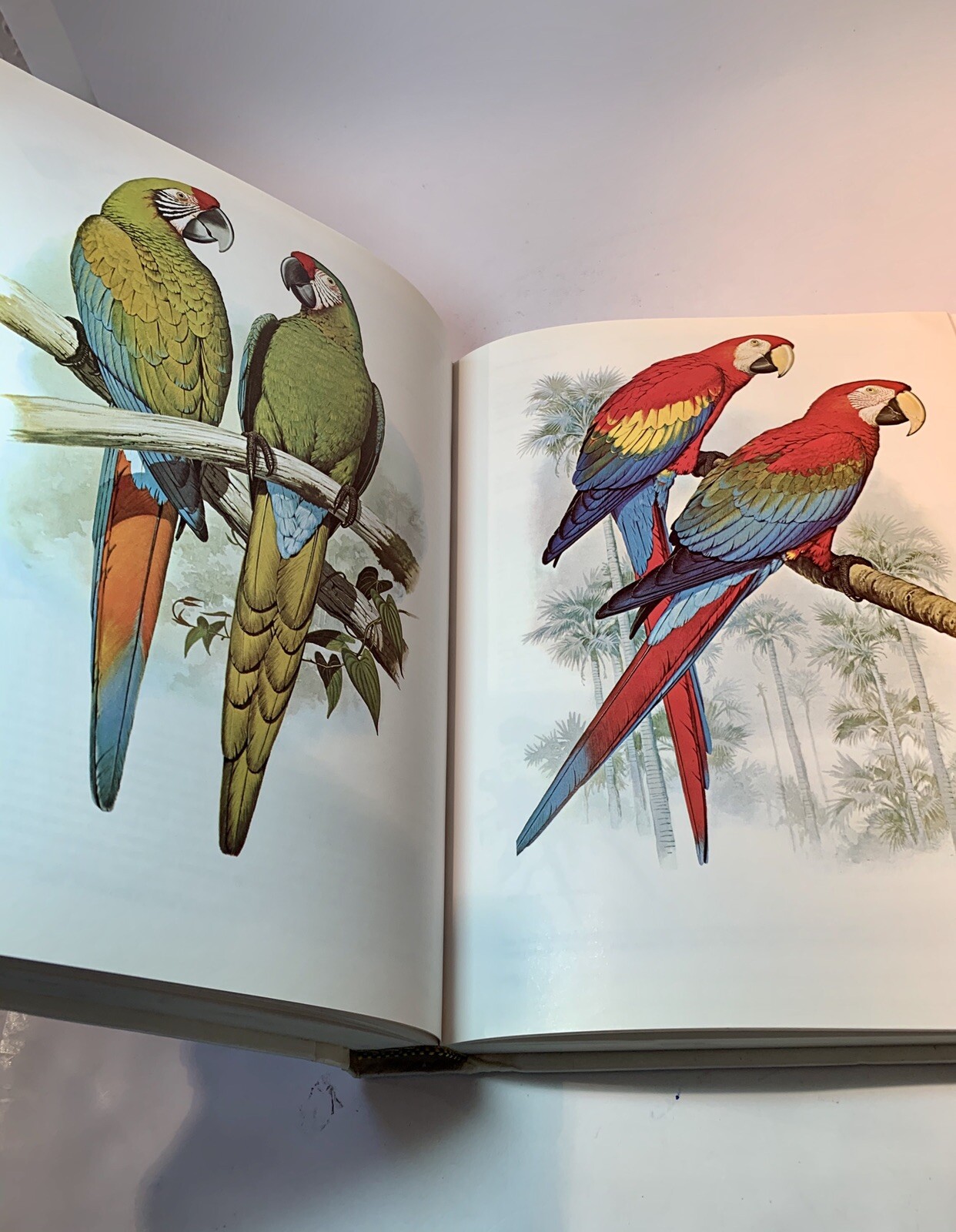 BOOK PARROTS OF THE WORLD Joseph M For Shaw Illustrated William T Cooper 1978