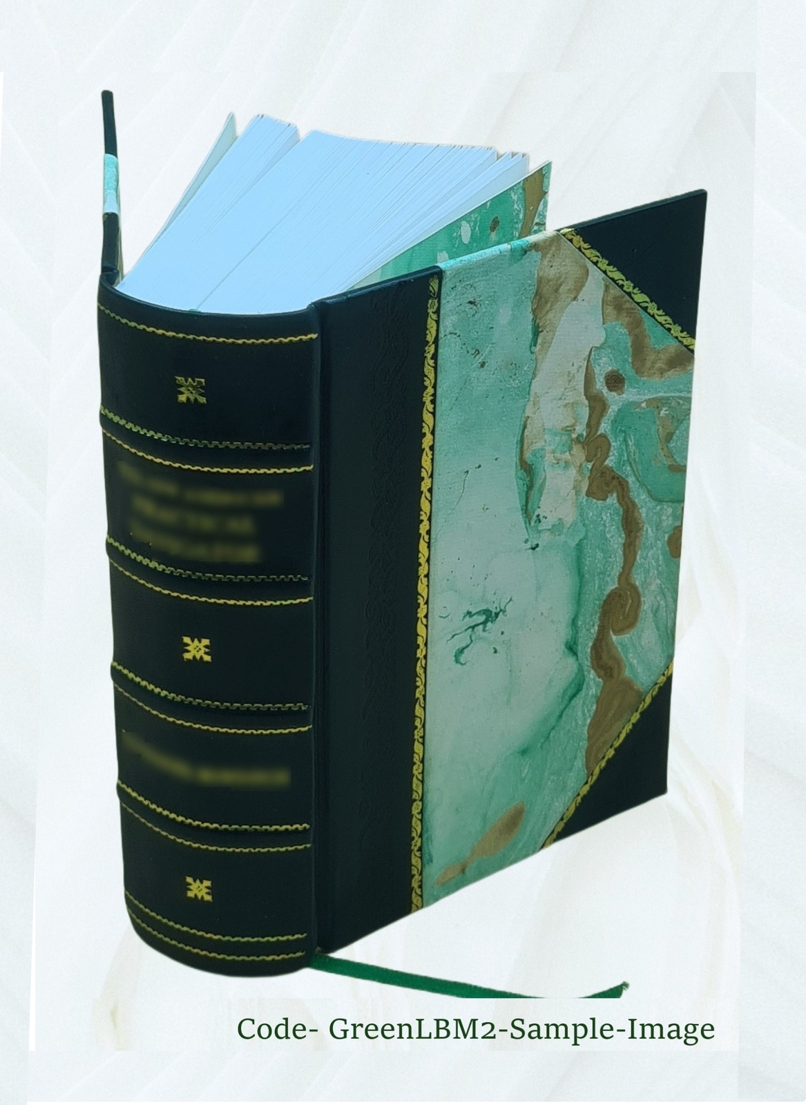 The Cave Temples Of India 1880 By James Fergusson, James Burgess [Leather Bound]