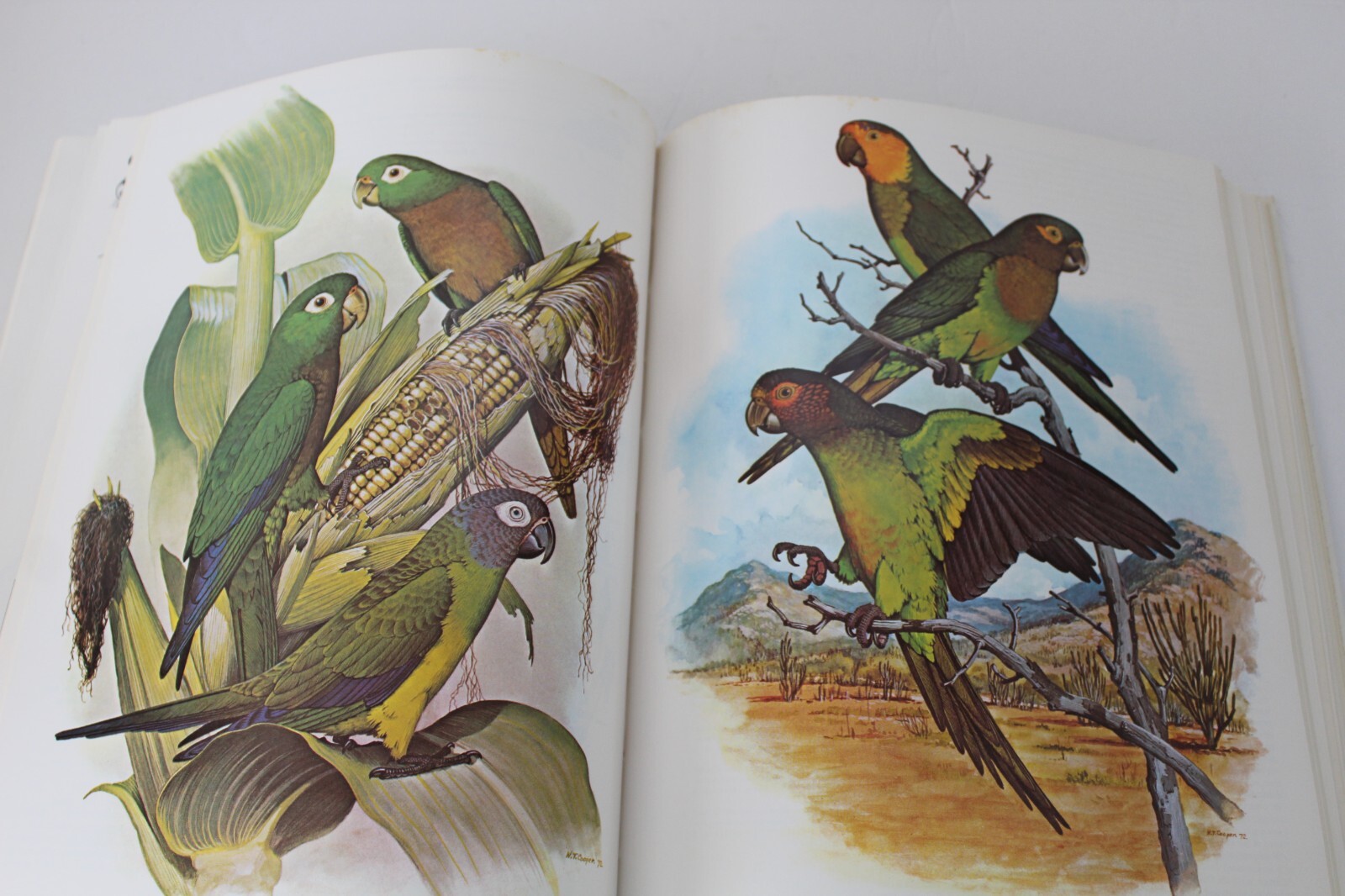 Parrots of the World by Joseph Michael Forshaw (1977, Hardcover, Reprint)