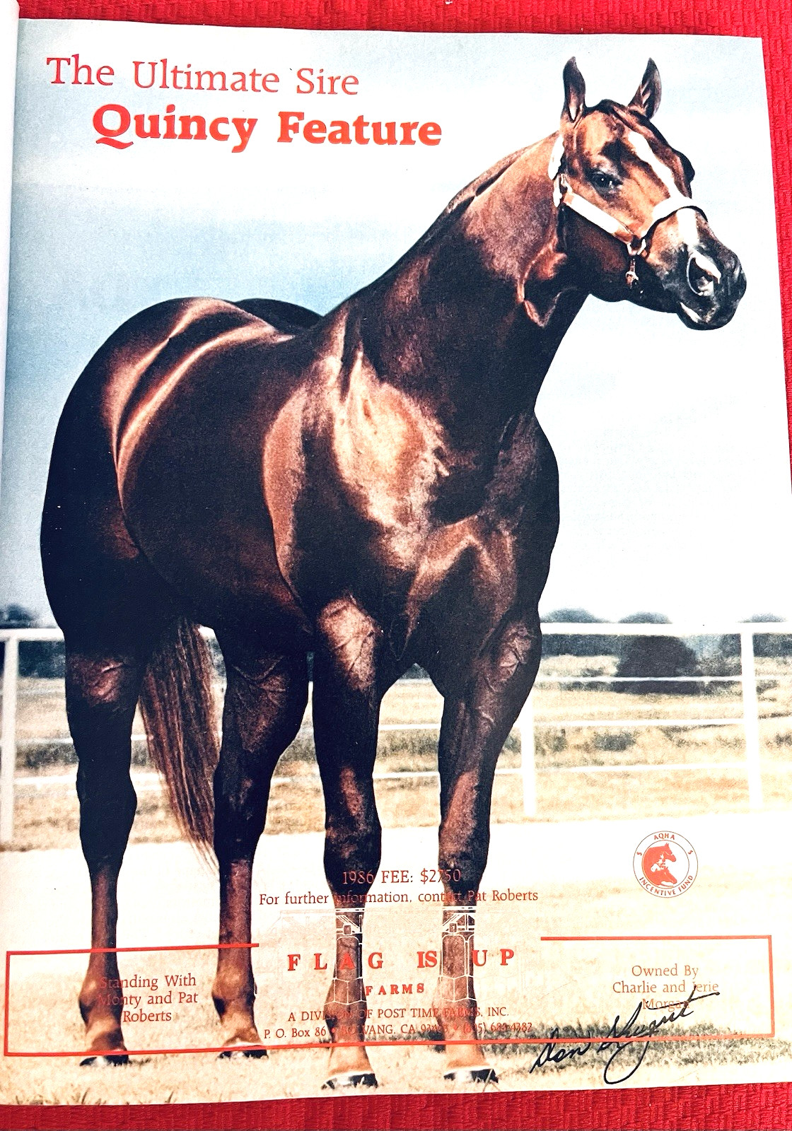 SALE ENDS 6/15! 1986 QUARTER HORSE JOURNAL Book – DYNAMIC DELUXE, ZAN PARR BAR