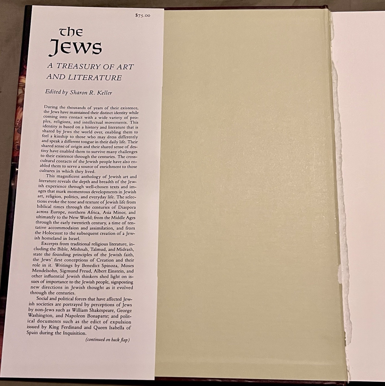 The Jews : A Treasury of Art and Literature (1992, Hardcover)