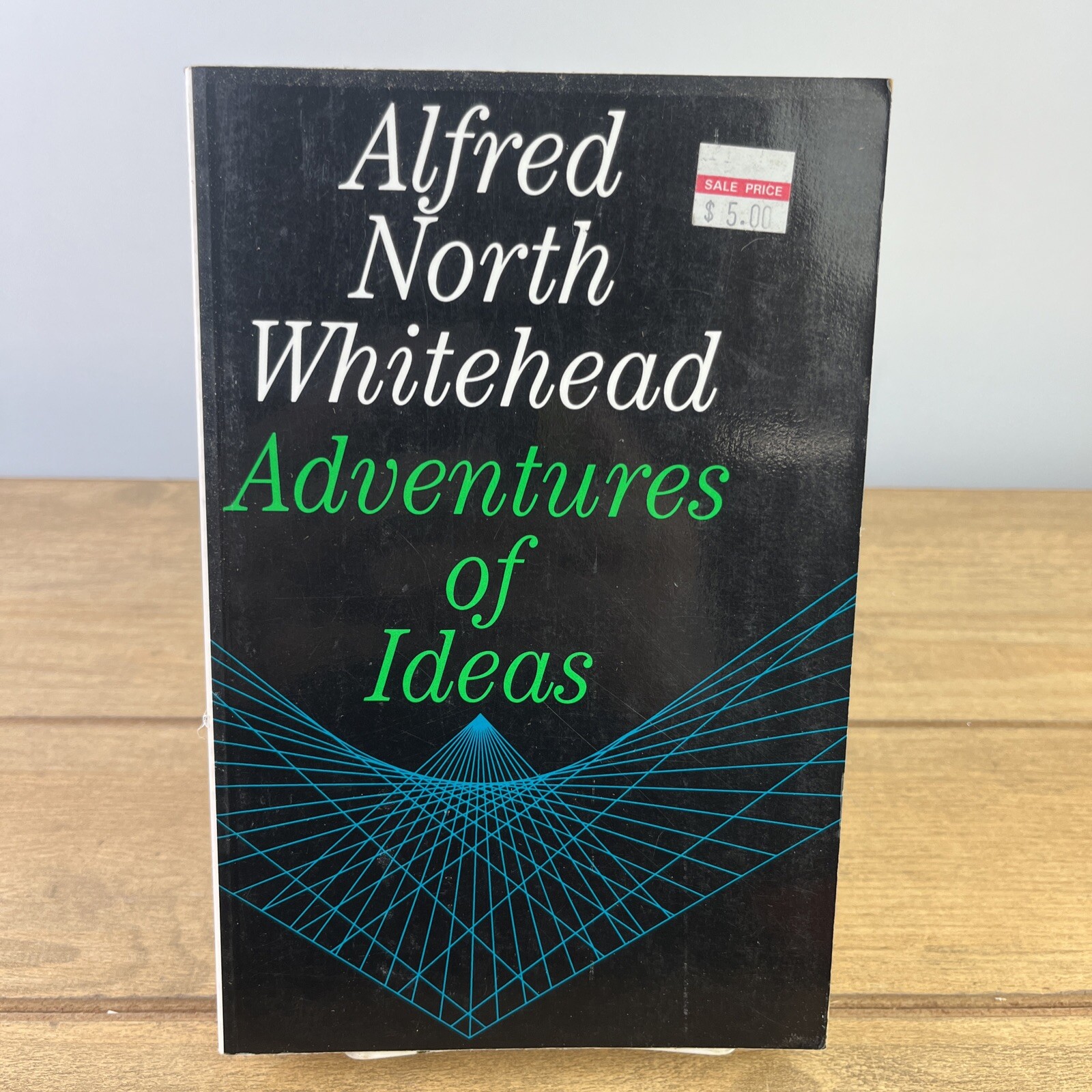 Vtg Book Alfred North Whitehead Adventures of Ideas (Paperback)1967 Free Press