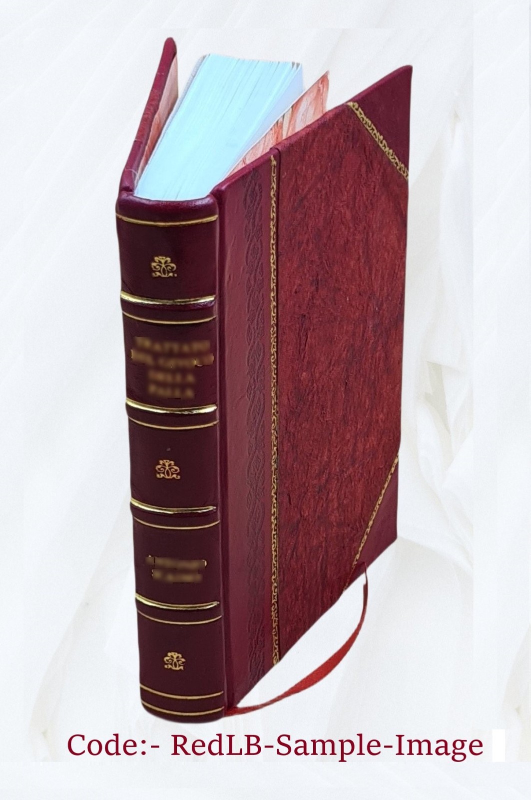 Hippiatria Gründlicher Bericht der bewerten Roßärtzney 1576 [Leather Bound