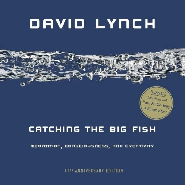 Catching the Big Fish: Meditation, Consciousness, and Creativity (0143130145)