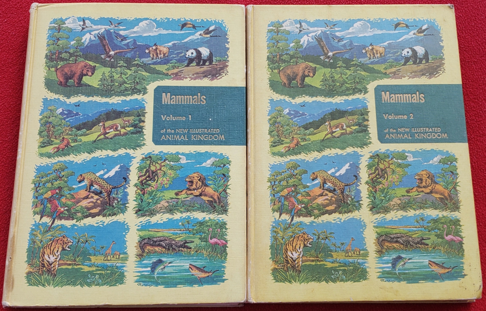 1961 Mammals Of The New Illustrated Animal Kingdom 2 Hardcover Volumes 290 Pages