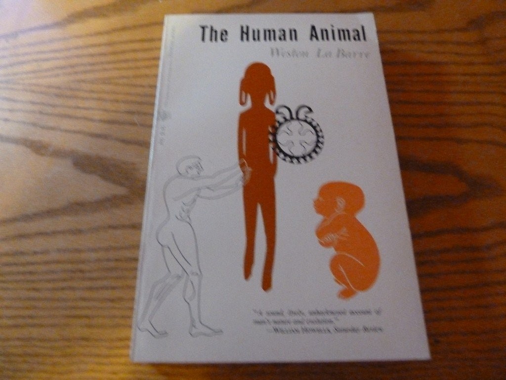 The human animal