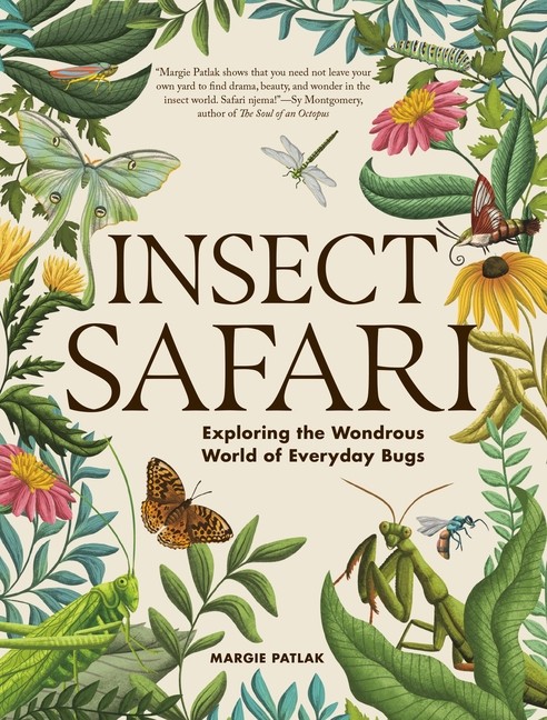 Insect Safari: Exploring the Wondrous World of Everyday Bugs Paperback