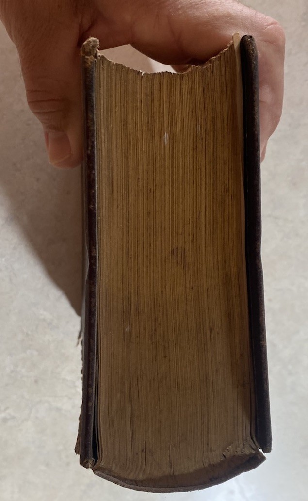 THE COMPLETE HOME JULIA MCNAIR WRIGHT 1882 ENCYCLOPAEDIA OF DOMESTIC LIFE GILT