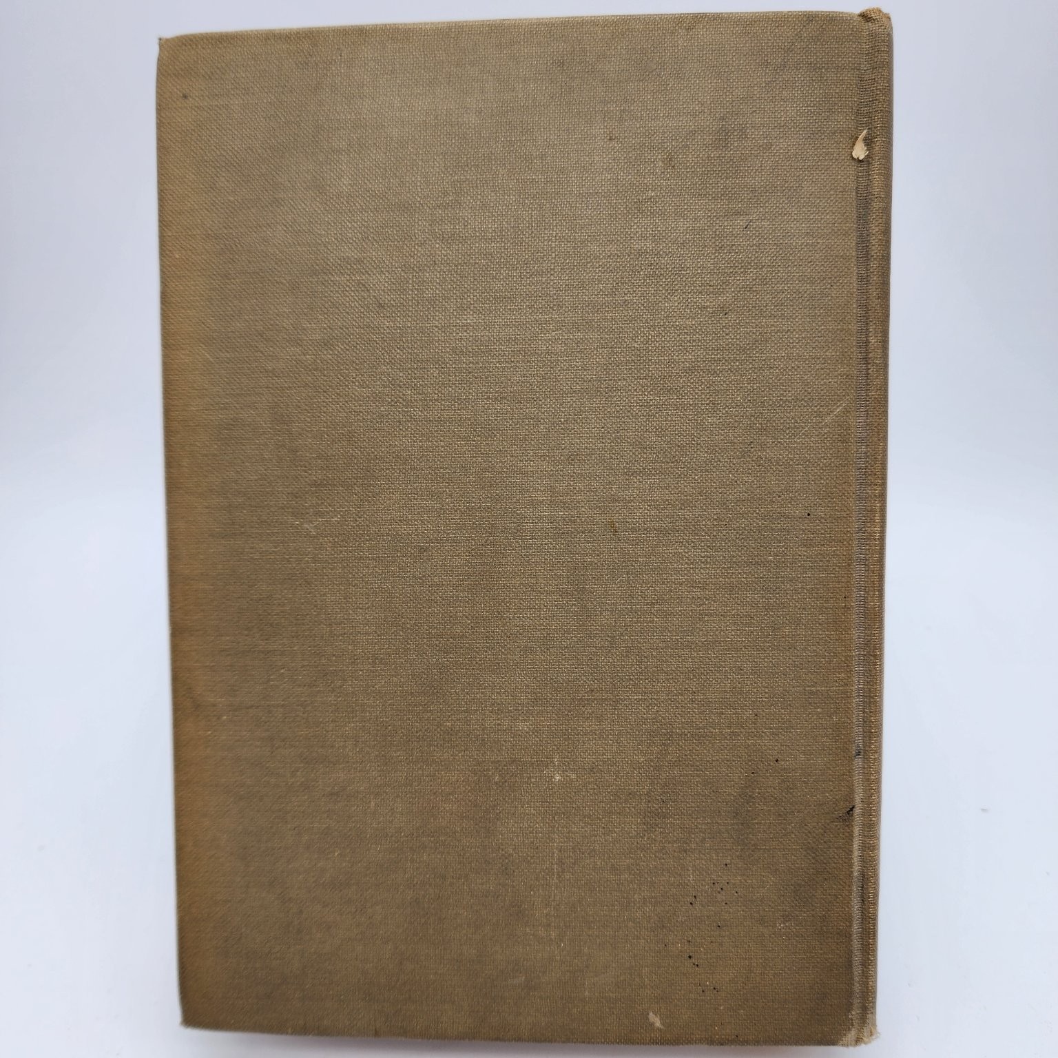 Wild Geese Martha Ostenso 1925 First Edition Literary Fiction Dodd Mead