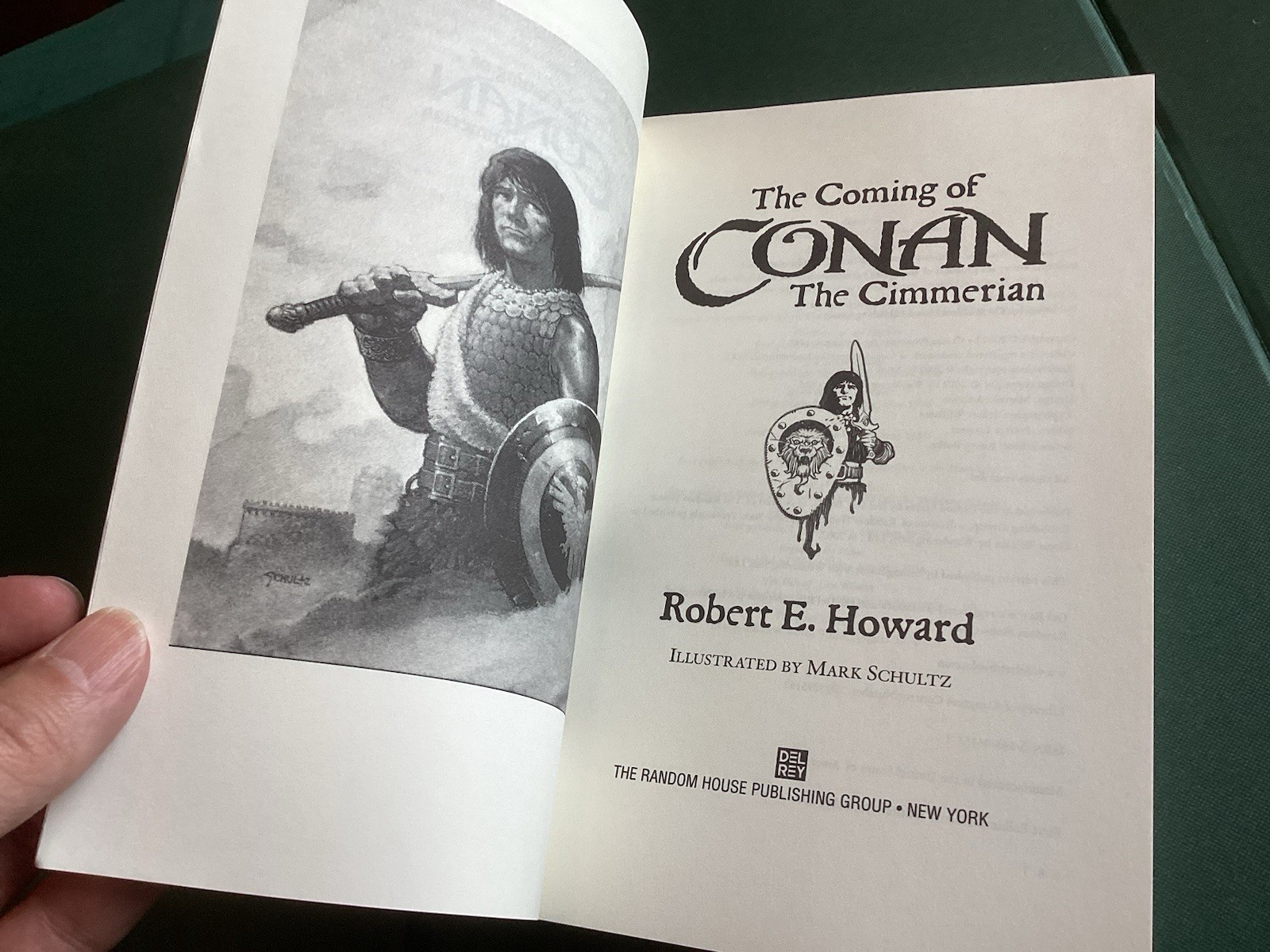 Robert E. Howard, The Coming of Conan the Cimmerian, TPB, Illustrated! Nice!