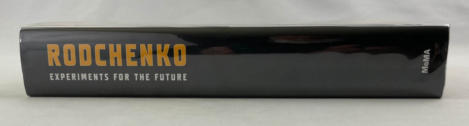 Experiments for the Future, Aleksandr Rodchenko, 2005, Writings, HCDJ