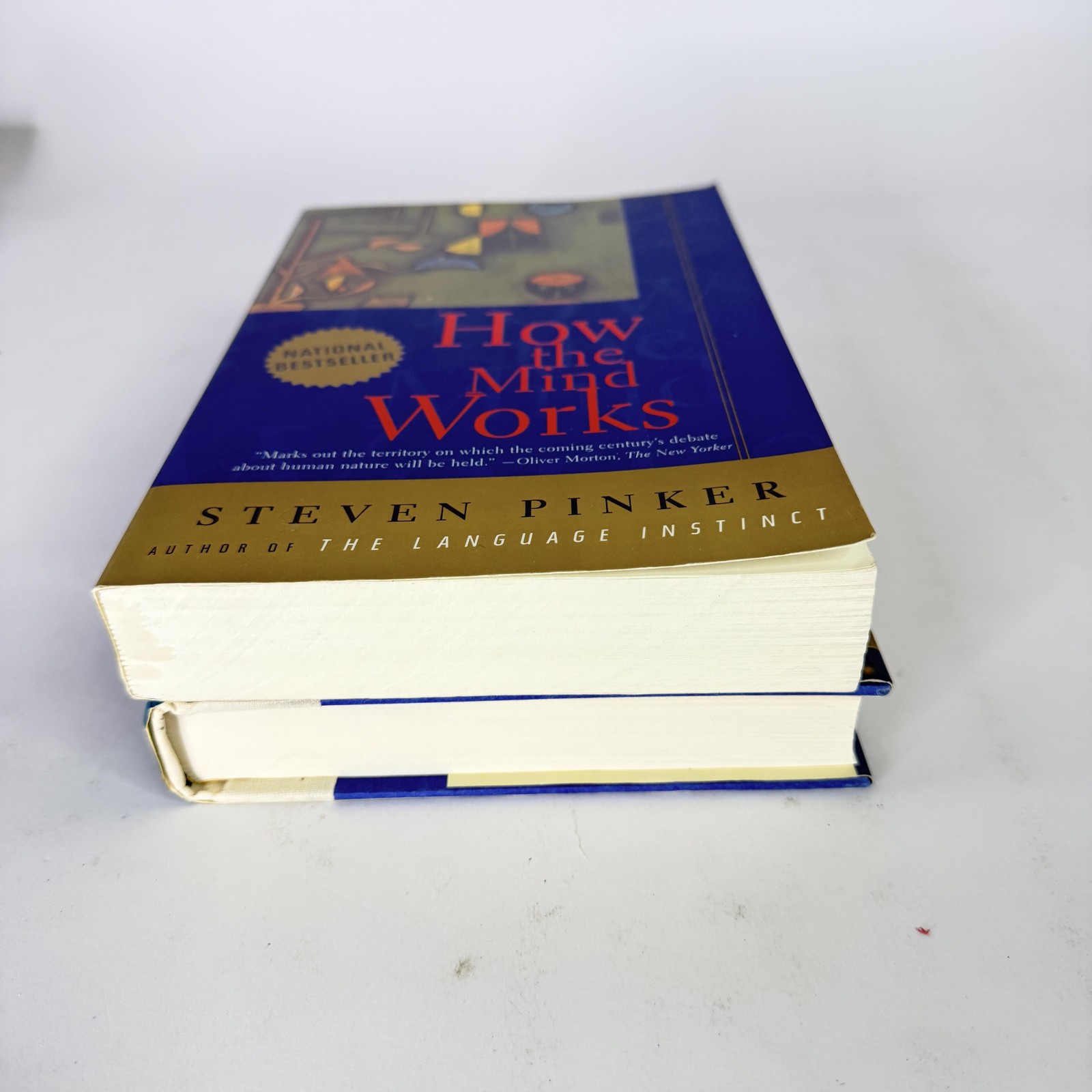 Lot 2 Cognitive Science Books Steven Pinker How The Mind Works Casti HC PB