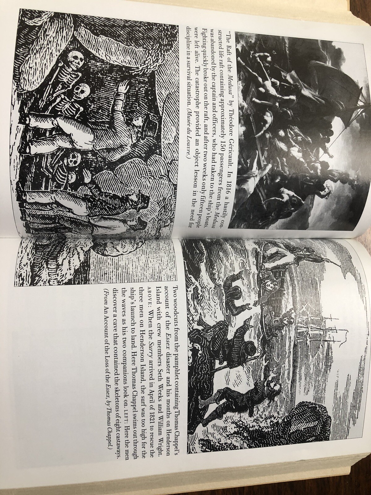 IN THE HEART OF THE SEA, THE TRAGEDY OF THE WHALESHIP ESSEX, Mega Rare