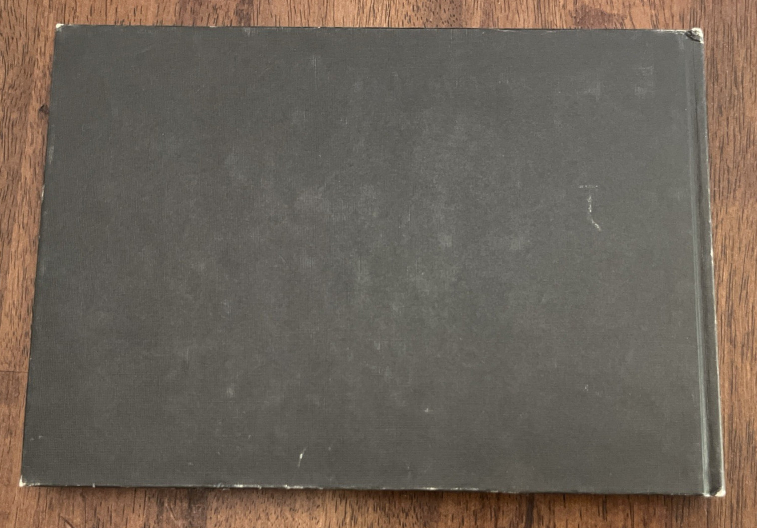 Torah For The Family by Philip Lipis & Louis Katzoff, World Jewish Bible, 1977