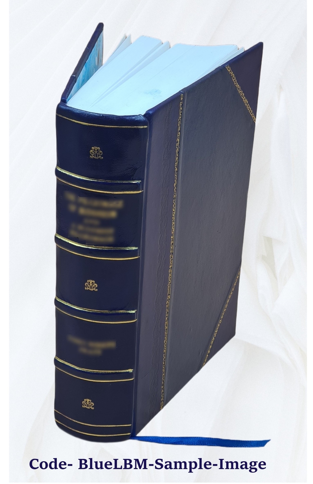 America Volume 8 1912 1912 by Anonymous [Leather Bound]