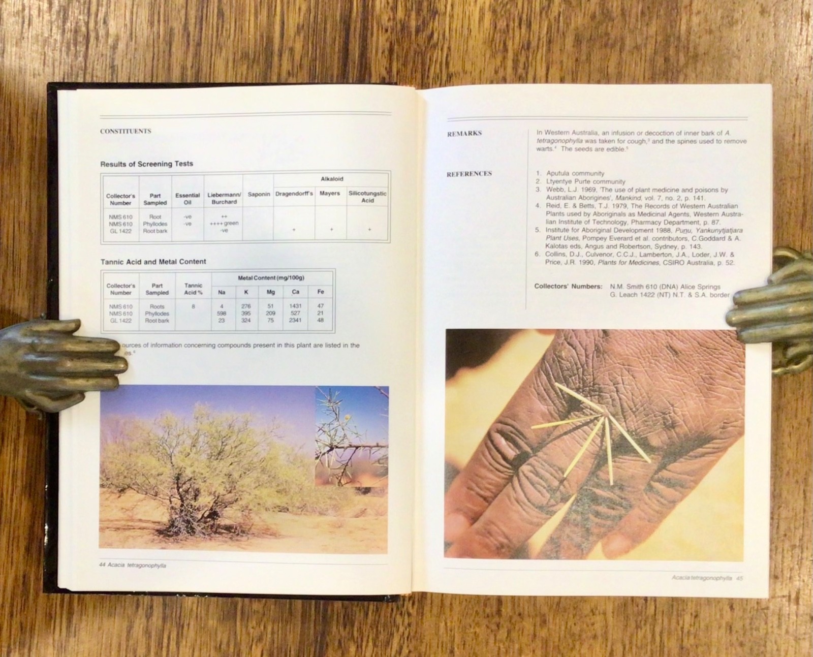 RARE: TRADITIONAL ABORIGINAL MEDICINES in the Northern Territory of Australia HB