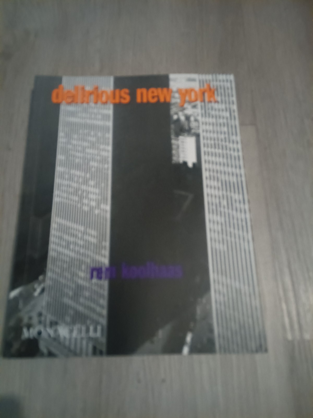 DELIRIOUS NEW YORK: A RETROACTIVE MANIFESTO FOR MANHATTAN By Rem Koolhaas *Mint*