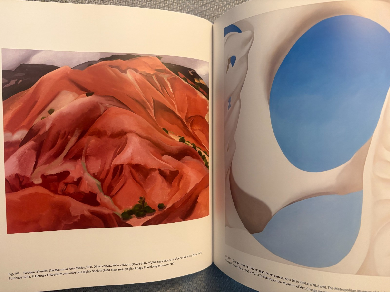 Georgia O’Keeffe: Living Modern by Wanda Corn HC/DJ 2017